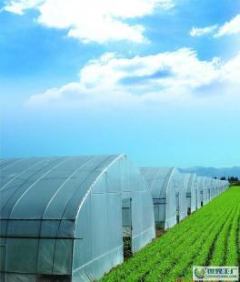 現代農業設施與設備 大棚、溫室及噴灌系統全面解析